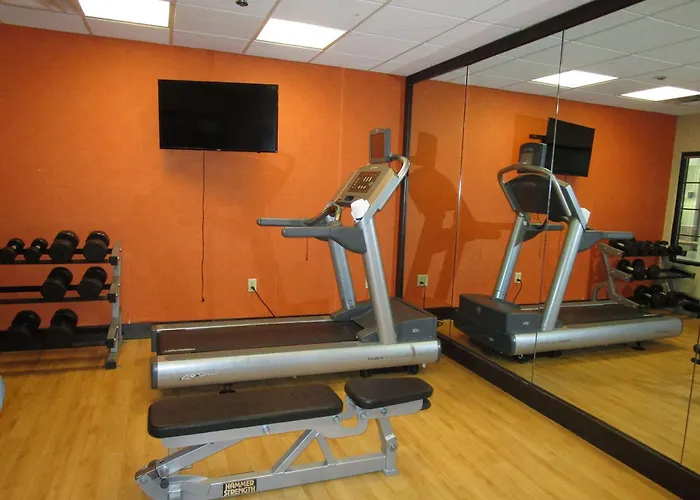 Top Hotels Near the Columbus Zoo